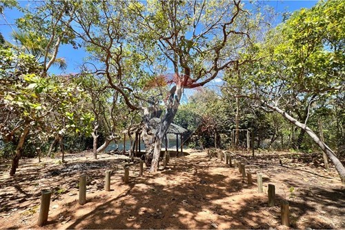 Slider Image Thumbnail