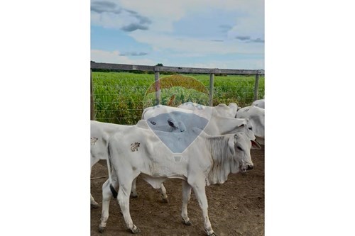 Slider 360 thumbnail