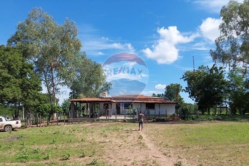 Venda-Chácara / Sítio / Fazenda-Centro , Ibotirama , Bahia , 47520000-580831002-154
