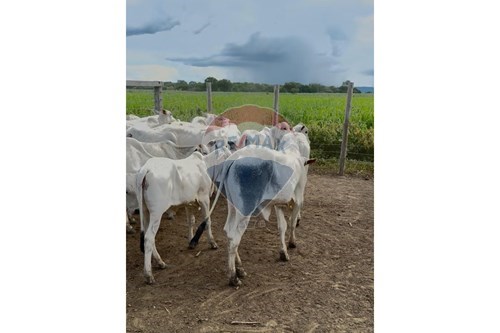 Slider 360 thumbnail