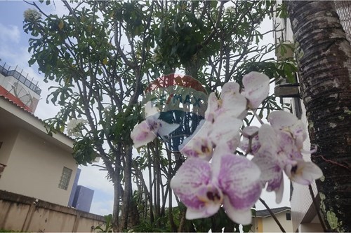 Slider Image Thumbnail