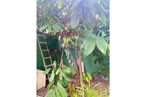 Slider Image Thumbnail