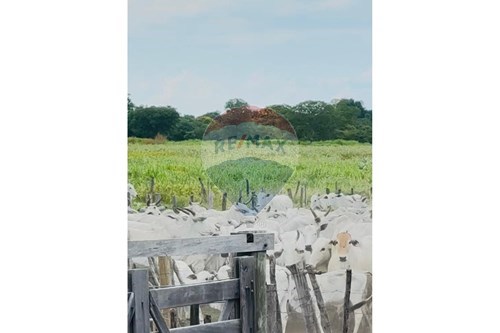 Slider 360 thumbnail