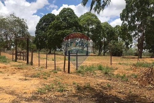 Slider Panorama Image Thumbnail