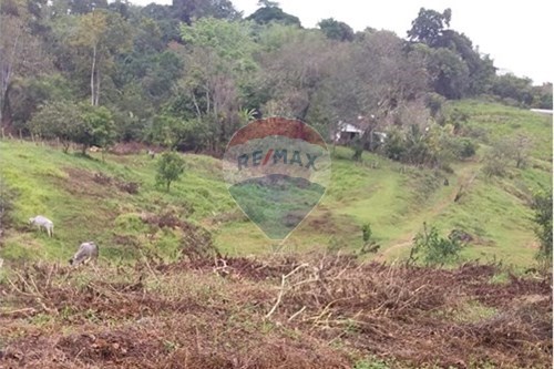 Venda-Chácara / Sítio / Fazenda-Salobrinho , Ilhéus , Bahia , 45.662-900-580831002-188