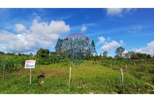 Venda-Terreno-Alagoinhas Velha , Alagoinhas , Bahia , 48024899-580701047-26