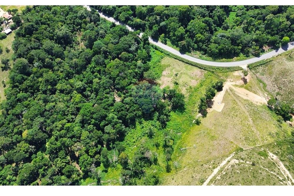 Chácara / Sítio / Fazenda - Venda - Itamaraju , Bahia - SIDNEI.5.jpg - 580751013-66