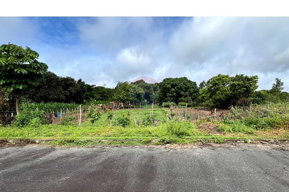 Terreno - Venda - Alagoinhas , Bahia - IMG-20250618-WA0016.jpg - 580701026-46