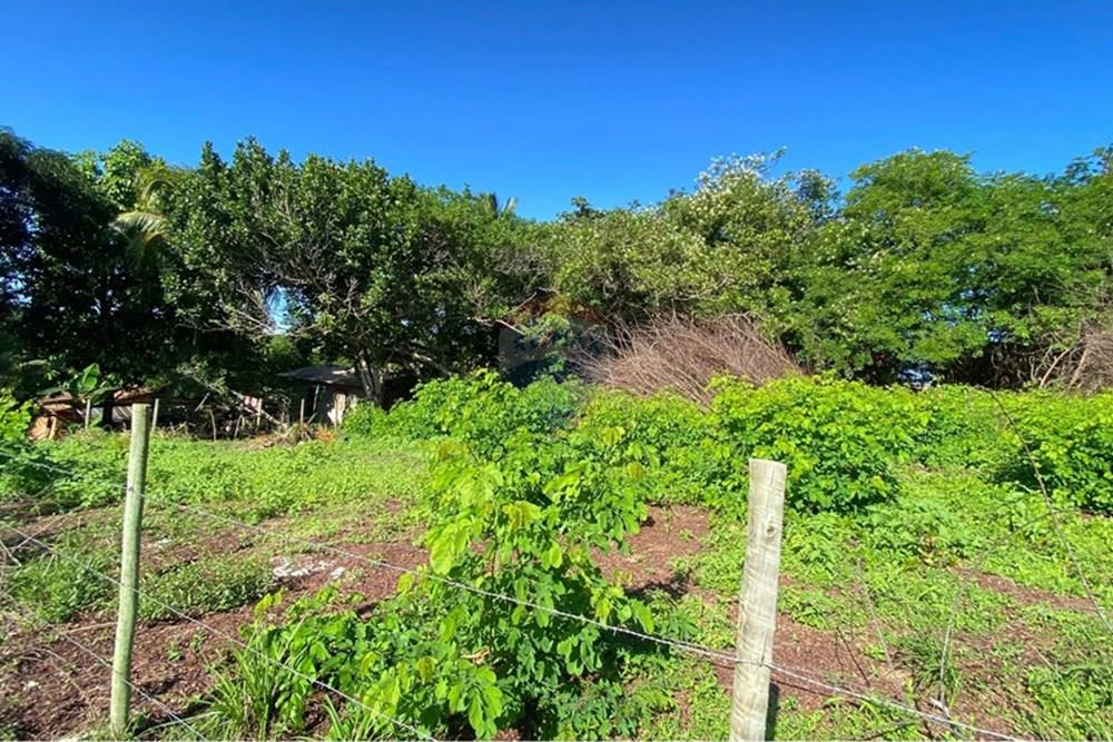 Terreno - Venda - Mata de São João , Bahia - 41d8c44e-7fac-4603-af9a-128ea402236b.jpg - 580601014-64