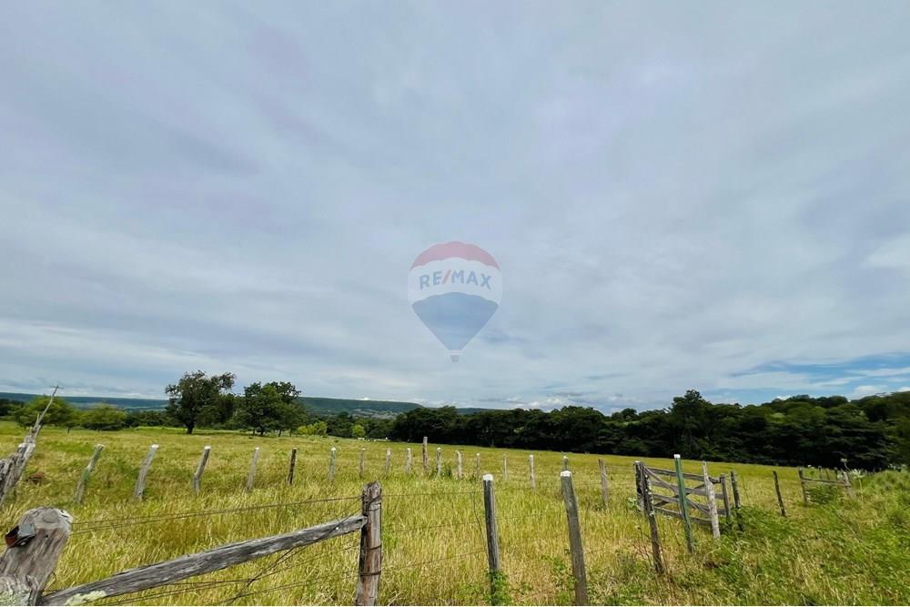 Chácara / Sítio / Fazenda - Venda - Barreiras , Bahia - WhatsApp Image 2025-03-11 at 17.53.44.jpeg - 580651065-24