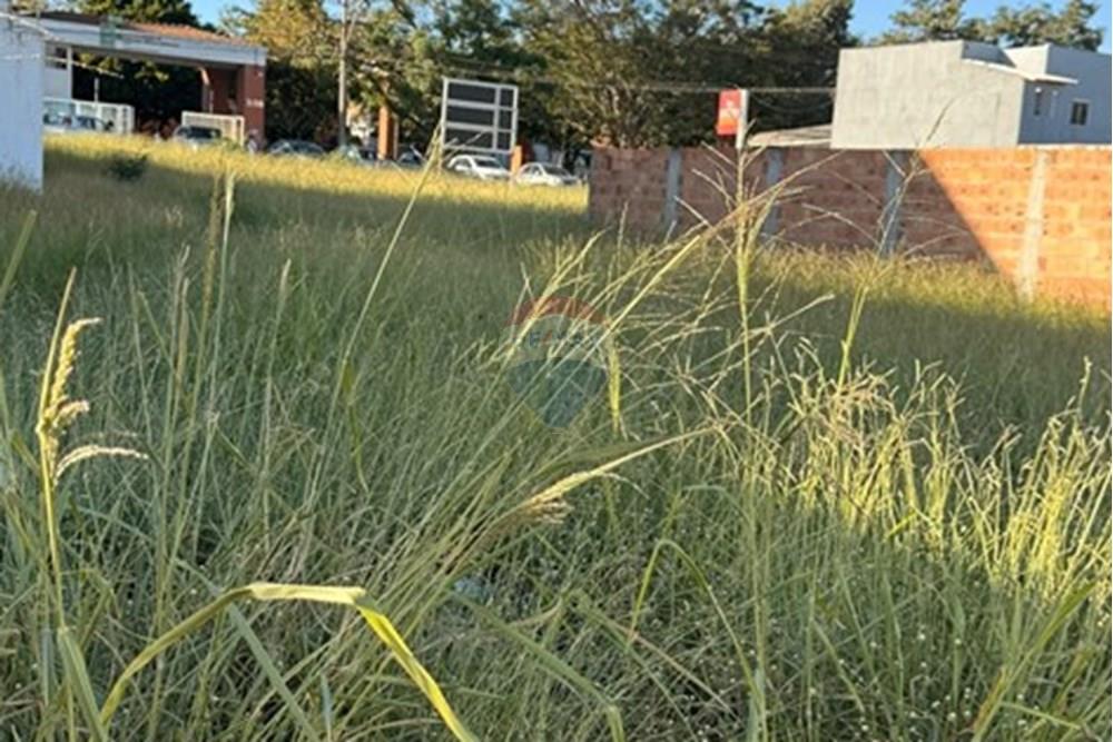 Terreno - Venda - Vitória da Conquista , Bahia - WhatsApp Image 2025-06-09 at 19.45.05.jpeg - 580831002-110