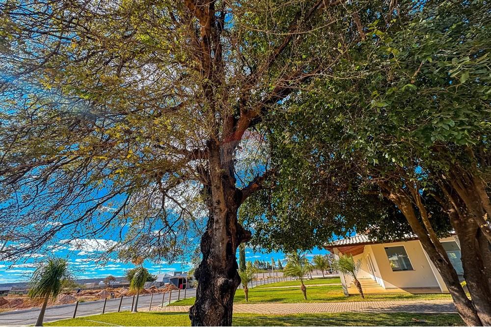 Terreno - Venda - Irecê , Bahia - Condominio Fotos-35.jpg - 580841006-50