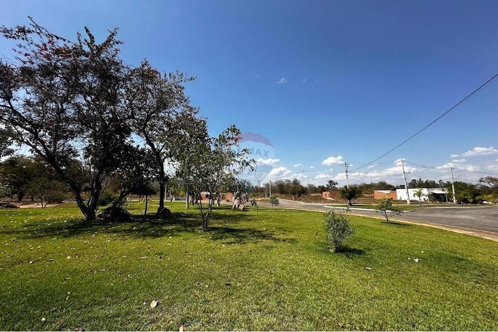 Terreno - Venda - Barreiras , Bahia - IMG-20241117-WA0007.jpg - 580651049-89