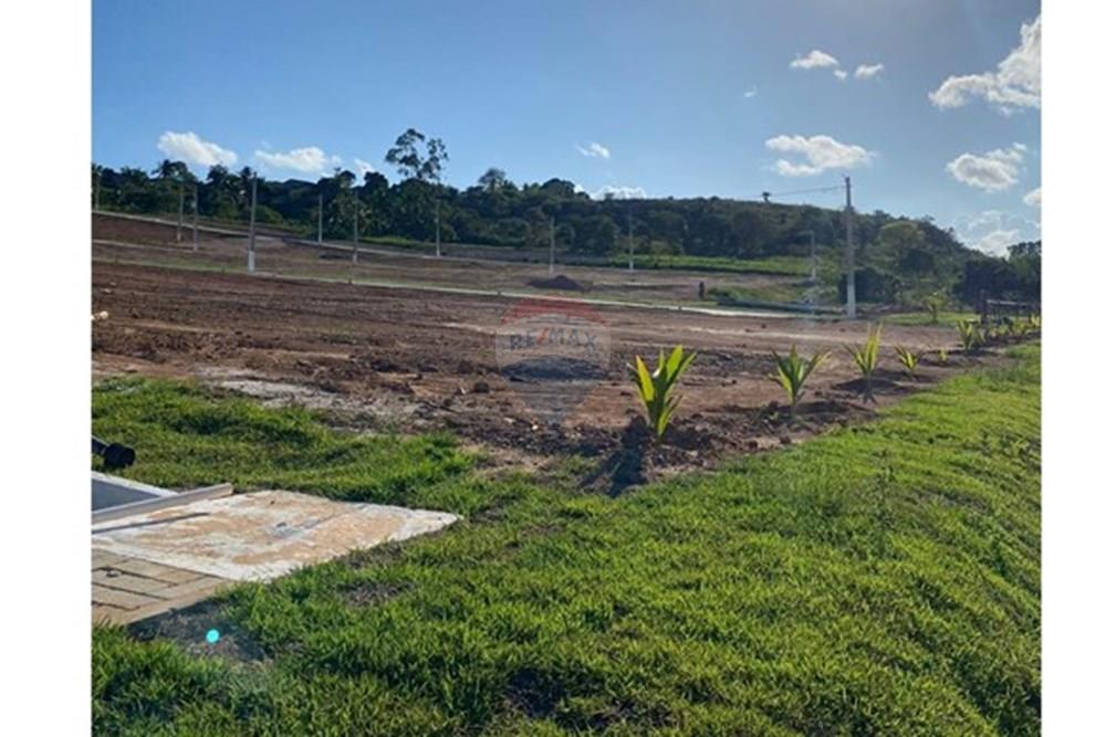 Terreno - Venda - Entre Rios , Bahia - WhatsApp Image 2025-07-14 at 14.17.24 (1).jpeg - 580701056-5