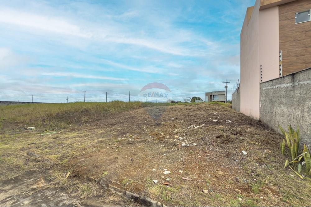 Terreno - Venda - Santo Antônio de Jesus , Bahia - IMG_8196.jpg - 580341036-82