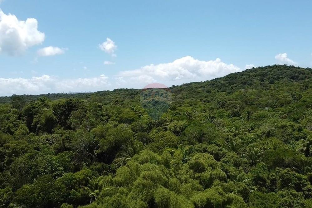 Terreno - Venda - Vera Cruz , Bahia - dji_fly_20250215_105524_0_1739627724284_photo_low_quality.jpg - 580401002-406