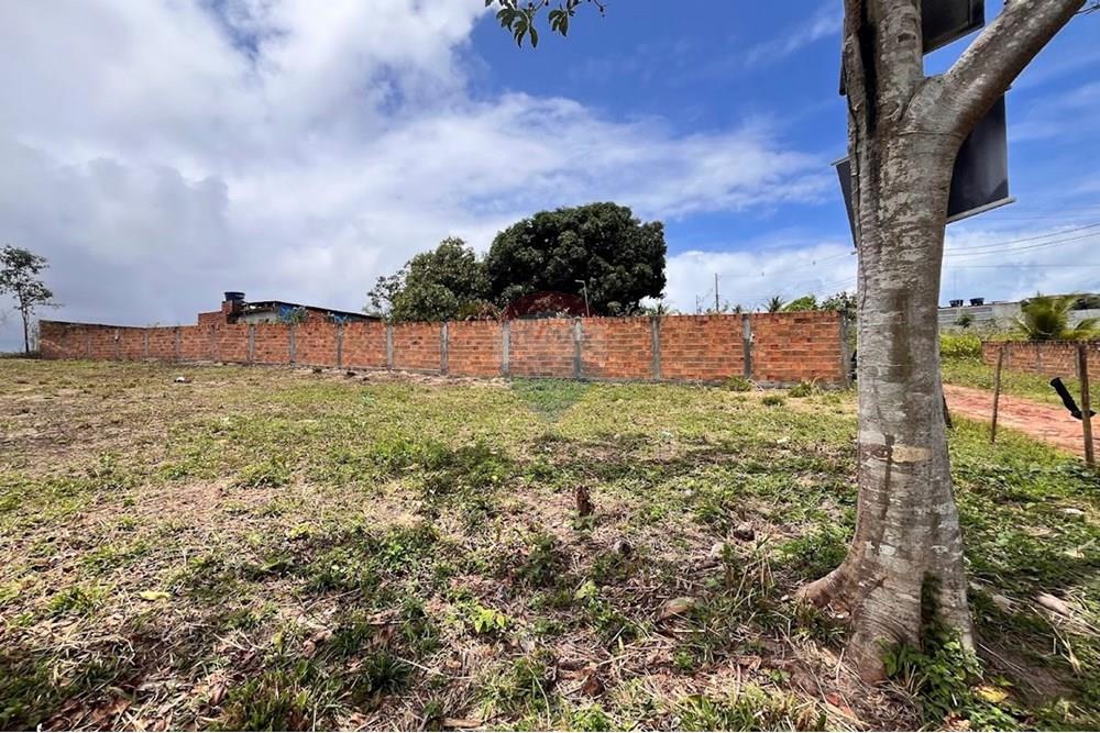 Terreno - Venda - Camaçari , Bahia - IMG_2973.jpg - 580491009-99