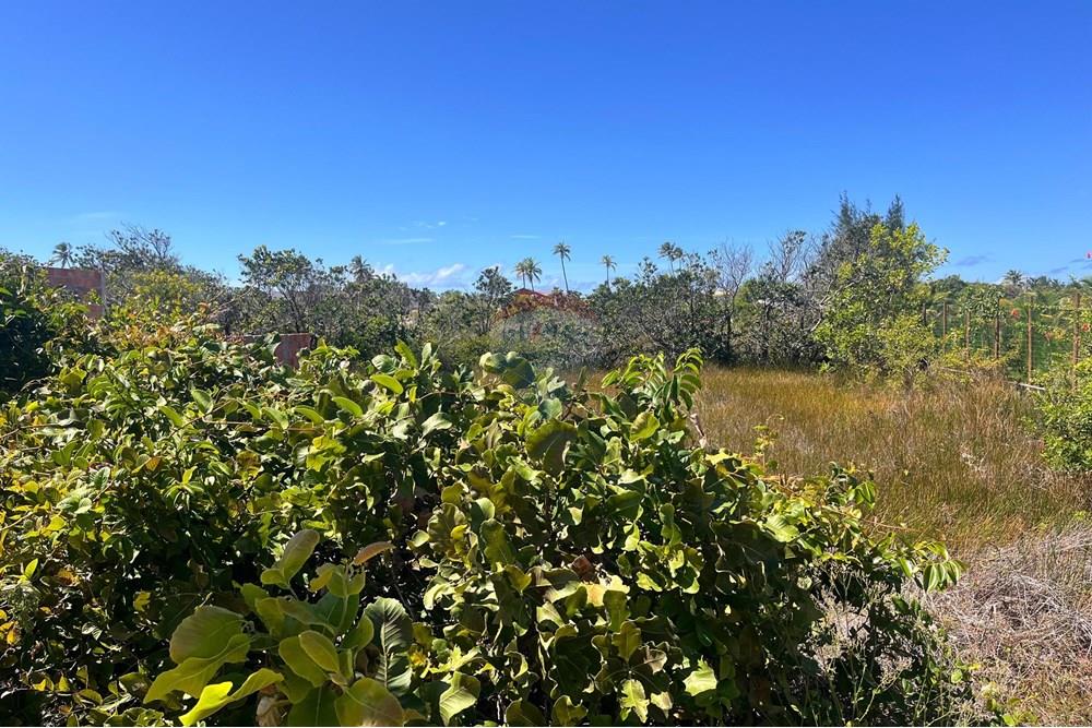 Terreno - Venda - Entre Rios , Bahia - Terreno Sauipe9.jpg - 580491009-81