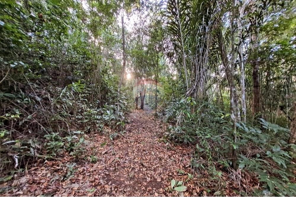 Terreno - Venda - Mata de São João , Bahia - Foto de Carla Valadares(3).jpg - 580541057-5