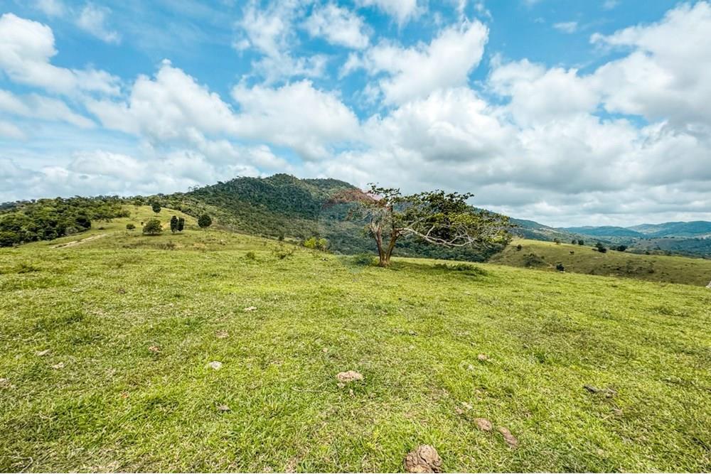 Chácara / Sítio / Fazenda - Venda - Ubaíra , Bahia - WhatsApp Image 2024-12-17 at 14.37.11.jpeg - 580341012-76