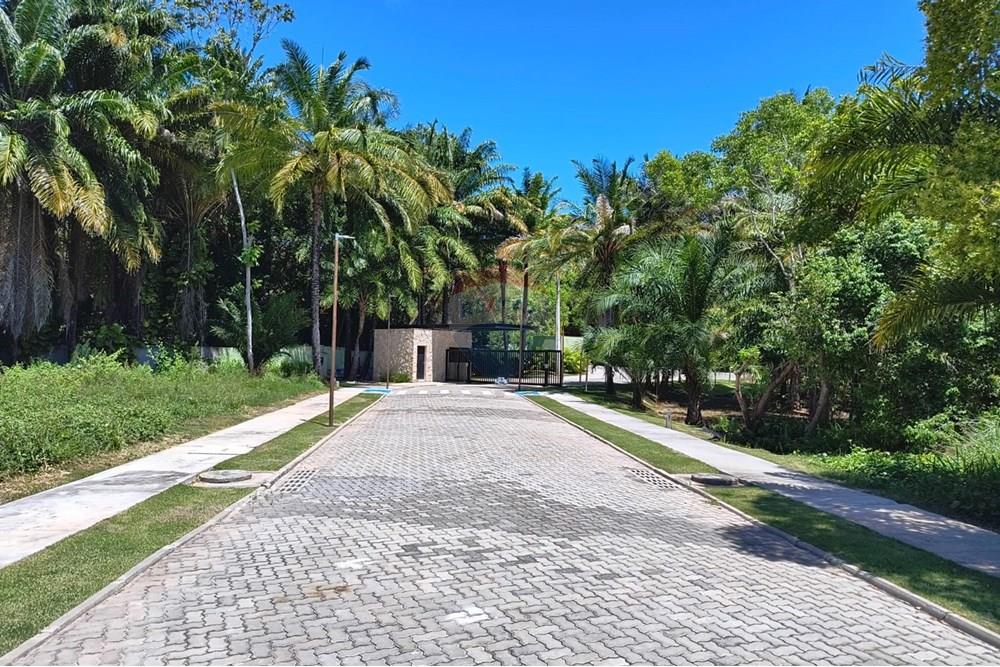 Terreno - Venda - Camaçari , Bahia - Imagem do WhatsApp de 2025-07-10 à(s) 14.46.43_d993d78c.jpg - 580761036-25