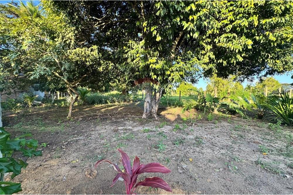 Terreno - Venda - Porto Seguro , Bahia - WhatsApp Image 2025-06-03 at 21.26.57.jpeg - 580811018-20