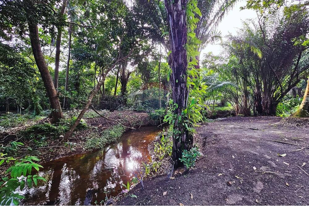 Apartamento - Venda - Mata de São João , Bahia - 20250827_153635.jpg - 580491031-40