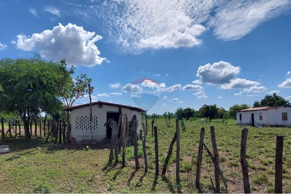 Chácara / Sítio / Fazenda - Venda - Ibotirama , Bahia - cf2ccd69-d71a-47c7-af3d-477d960f3d09.jpg - 580831002-154