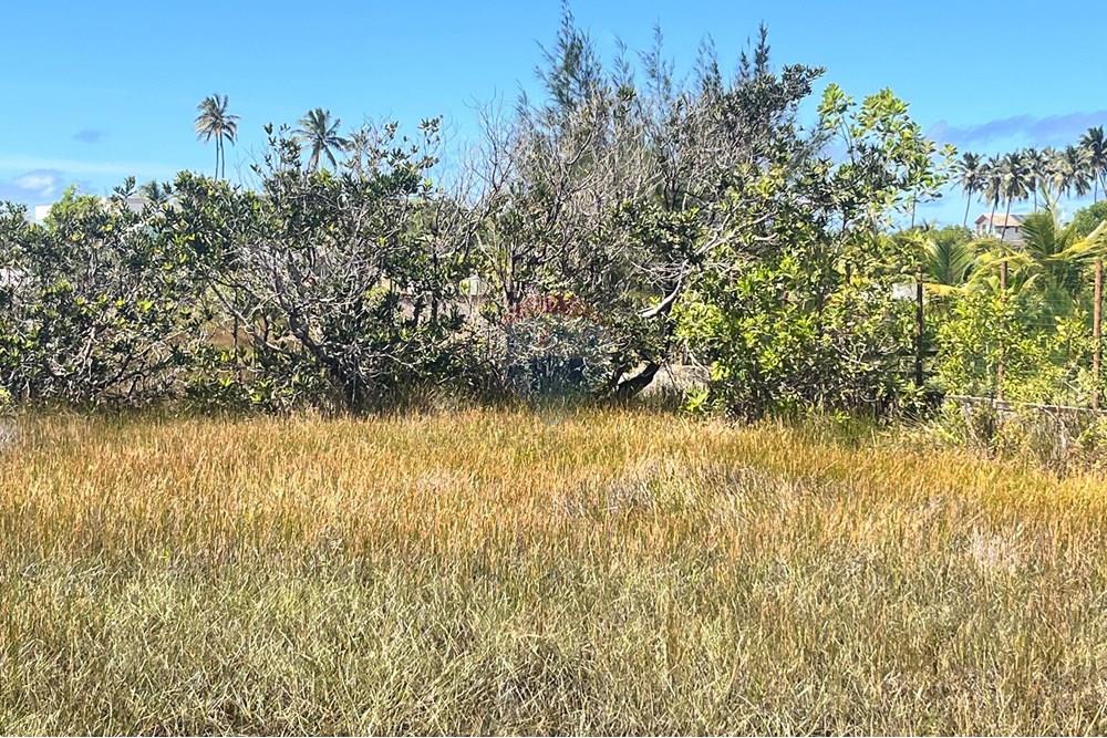 Terreno - Venda - Entre Rios , Bahia - Terreno Sauipe8.jpg - 580491009-81