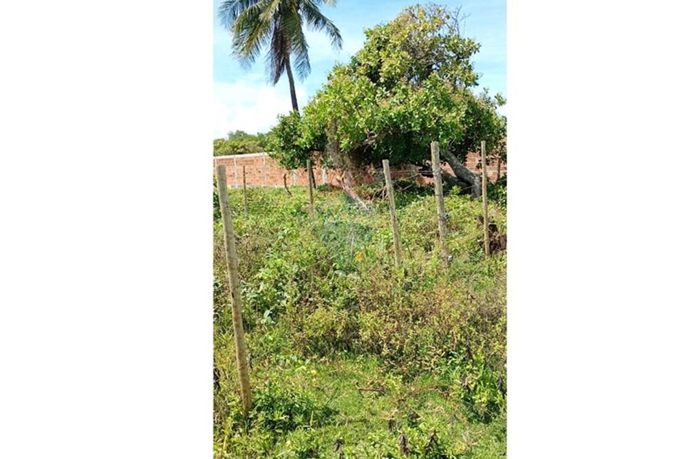 Terreno - Venda - Entre Rios , Bahia - 73b1d2e0-0274-4490-b6df-04cb1e9e9824.jpg - 580701006-54