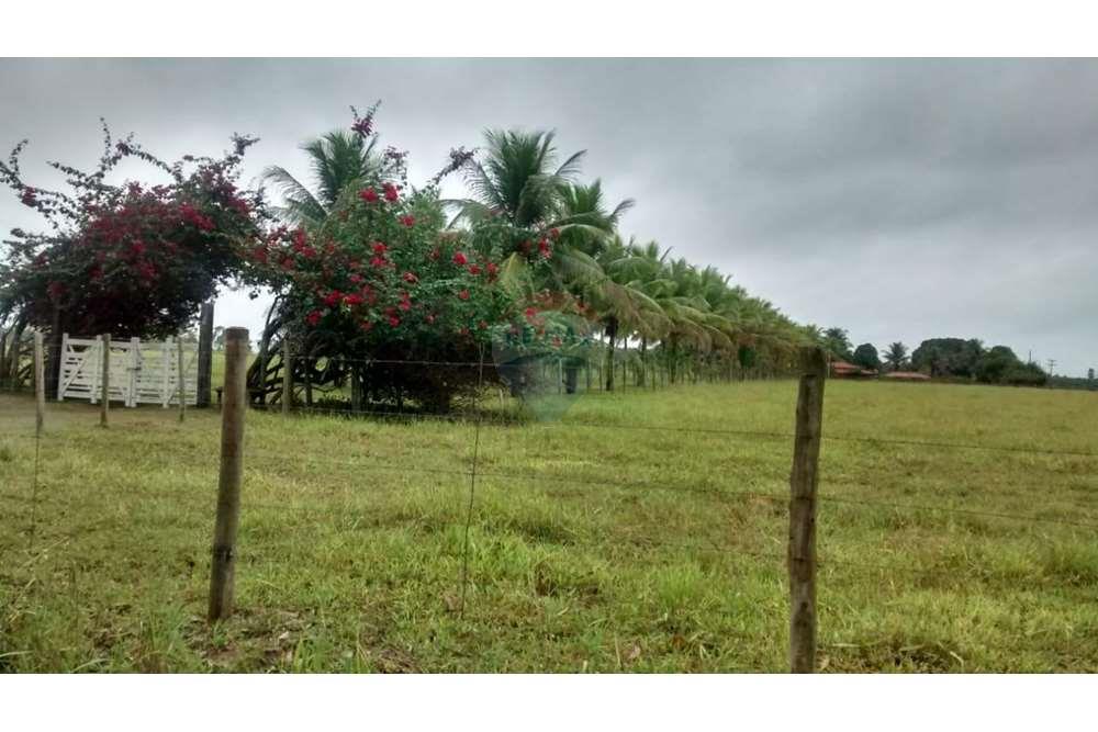 Chácara / Sítio / Fazenda - Venda - Teixeira de Freitas , Bahia - WhatsApp Image 2024-05-13 at 16.09.18 (2).jpeg - 580411003-292