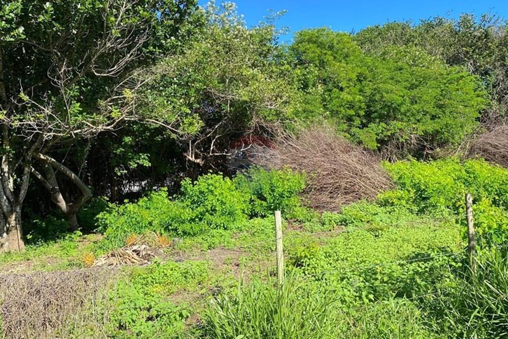 Terreno - Venda - Mata de São João , Bahia - 6e4d8562-a9ee-4c35-90e6-3e455cca8828.jpg - 580601014-64