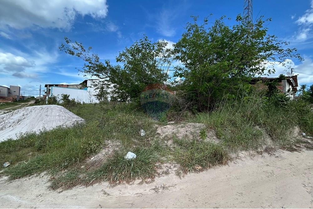 Terreno - Venda - Alagoinhas , Bahia - WhatsApp Image 2025-02-17 at 15.17.18(2).jpeg - 580701006-43