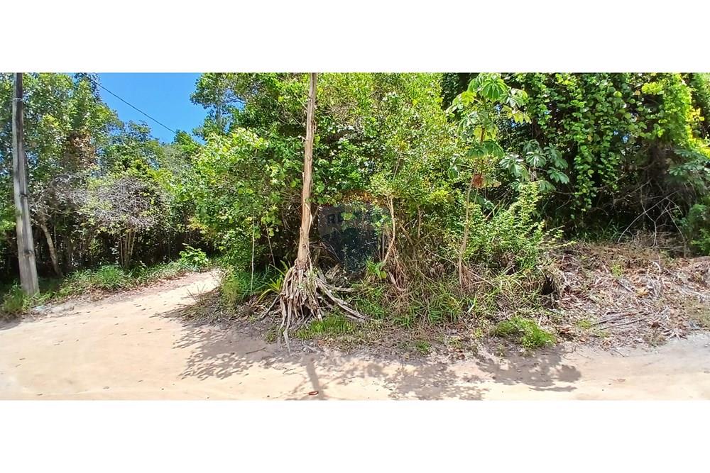 Terreno - Venda - Porto Seguro , Bahia - fotos (1).jpg - 580581006-69