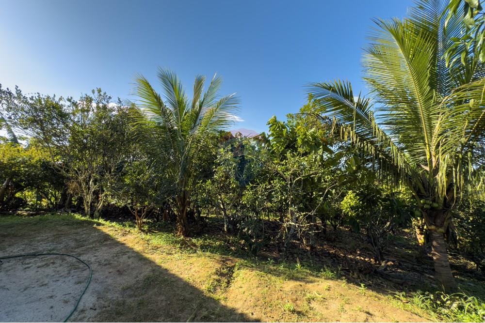 Chácara / Sítio / Fazenda - Venda - Santo Antônio de Jesus , Bahia - IMG_3174.jpg - 580341015-99