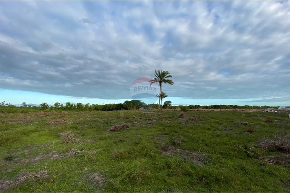 Chácara / Sítio / Fazenda - Venda - Caravelas , Bahia - WhatsApp Image 2025-07-11 at 09.20.09 (3).jpeg - 580411006-269