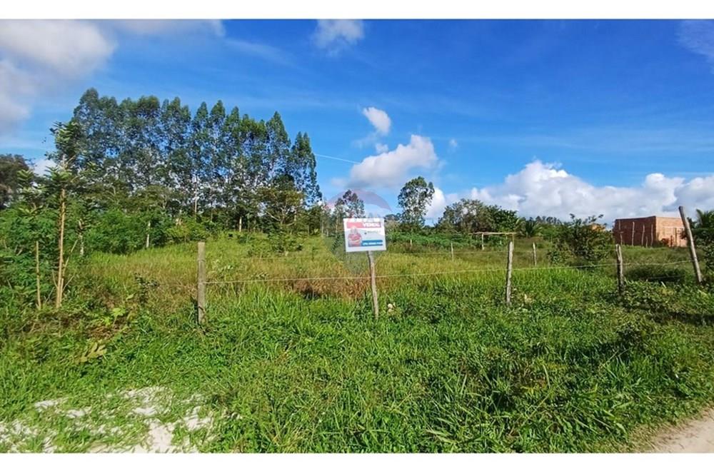 Terreno - Venda - Alagoinhas , Bahia - 060c995f-1785-44d2-aae8-206542ee17fd.jpeg - 580701047-26