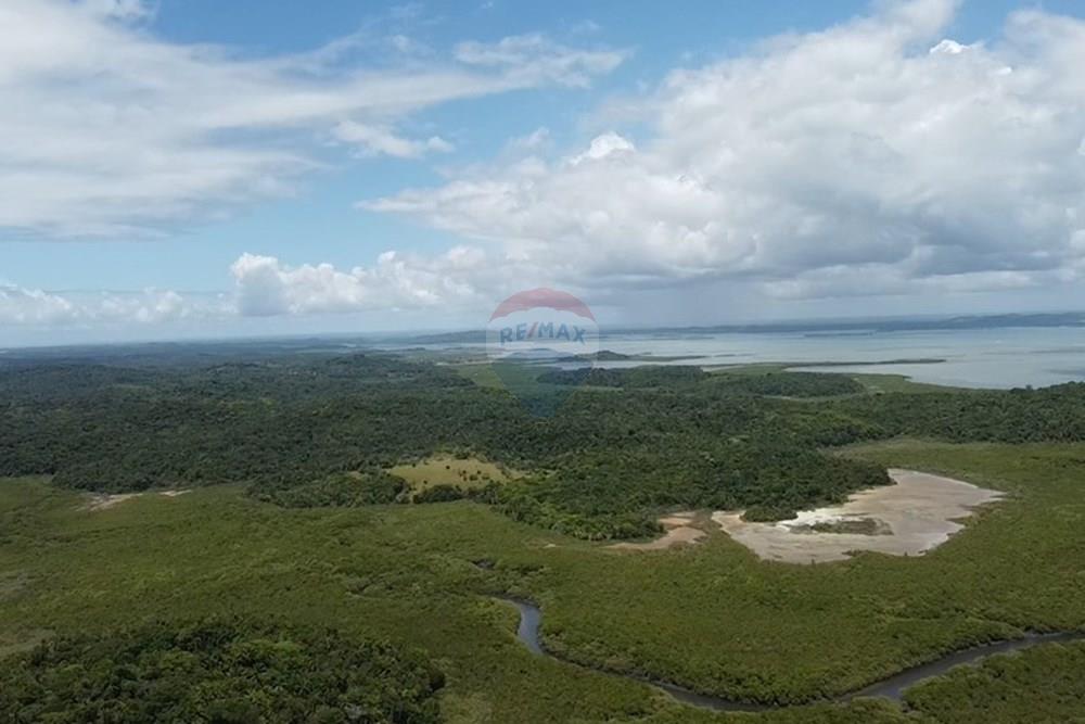 Terreno - Venda - Vera Cruz , Bahia - dji_fly_20250215_110117_0_1739628077385_photo_low_quality.jpg - 580401002-406