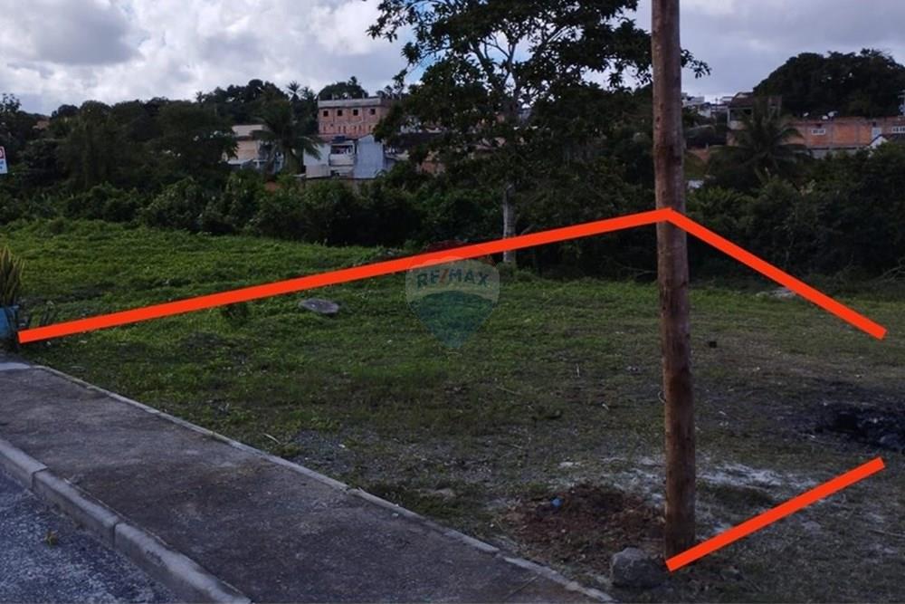 Terreno - Venda - Alagoinhas , Bahia - Imagem do WhatsApp de 2025-10-31 à(s) 11.31.34_0ed27a02.jpg - 580701058-4