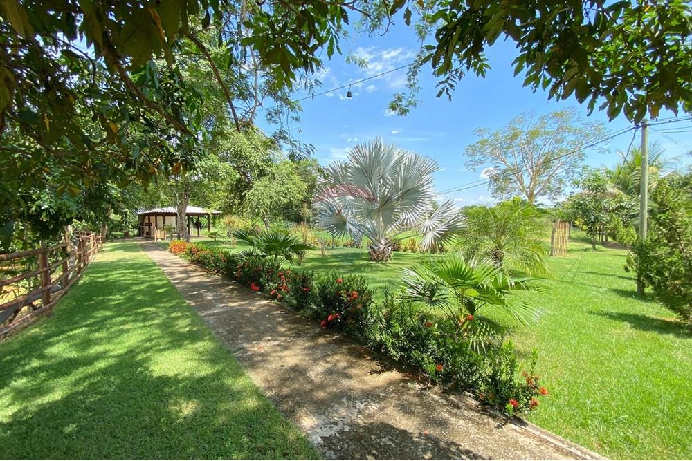 Chácara / Sítio / Fazenda - Venda - Barreiras , Bahia - WhatsApp Image 2025-01-08 at 15.07.18.jpeg - 580651020-100