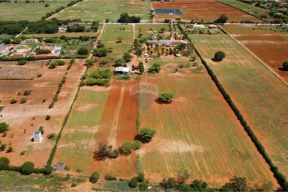 Chácara / Sítio / Fazenda - Venda - Irecê , Bahia - WhatsApp Image 2025-01-29 at 23.17.45 (2).jpeg - 580841006-7