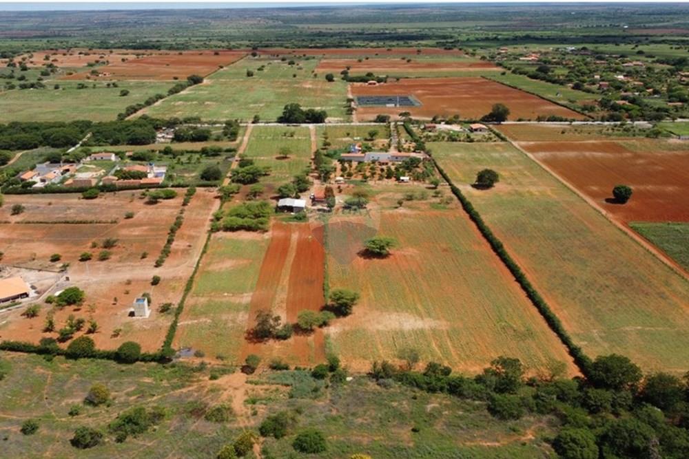 Chácara / Sítio / Fazenda - Venda - Irecê , Bahia - WhatsApp Image 2025-01-29 at 23.17.45 (3).jpeg - 580841006-7