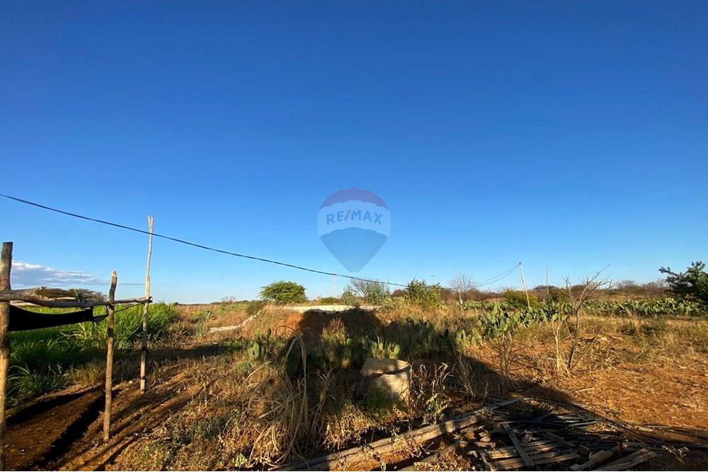 Terreno - Venda - Irecê , Bahia - 2022d429-ed74-475e-b456-73c827263fb9.jpeg - 580841008-85