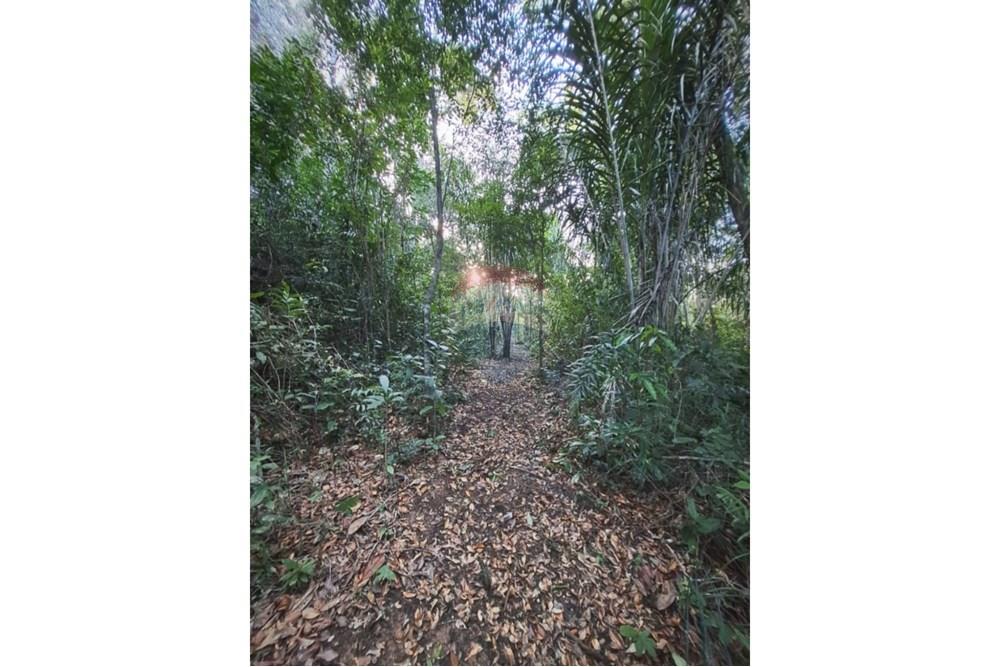 Terreno - Venda - Mata de São João , Bahia - Foto de Carla Valadares.jpg - 580541057-5