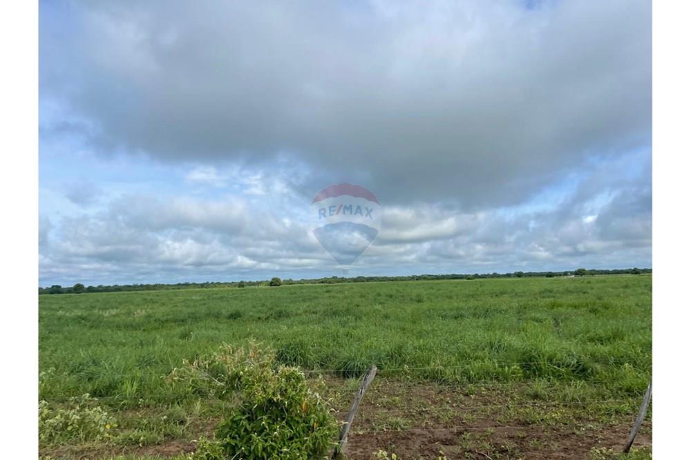 Agro - Venda - Wanderley , Bahia - Imagem do WhatsApp de 2025-08-13 à(s) 16.10.44_2e47aba2.jpg - 580791016-14