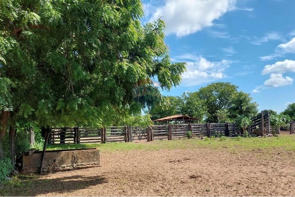 Chácara / Sítio / Fazenda - Venda - Ibotirama , Bahia - 96833ded-7001-4aef-b571-b30024fd942e.jpg - 580831002-154