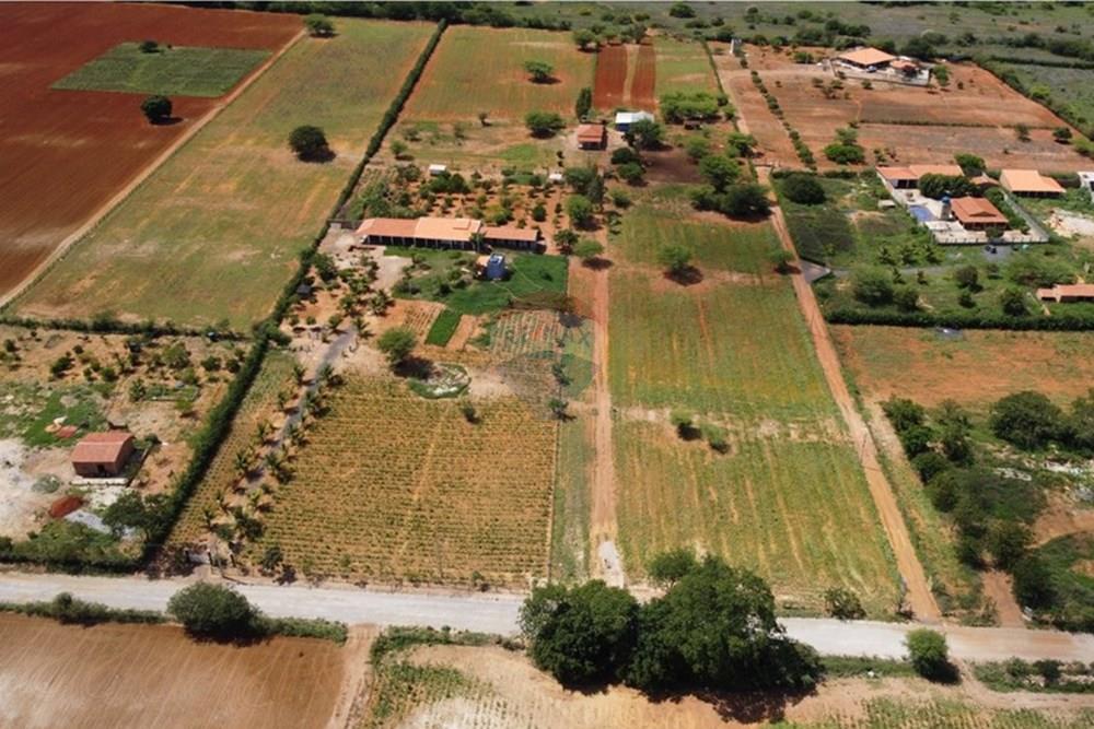 Chácara / Sítio / Fazenda - Venda - Irecê , Bahia - WhatsApp Image 2025-01-29 at 23.17.45 (6).jpeg - 580841006-7