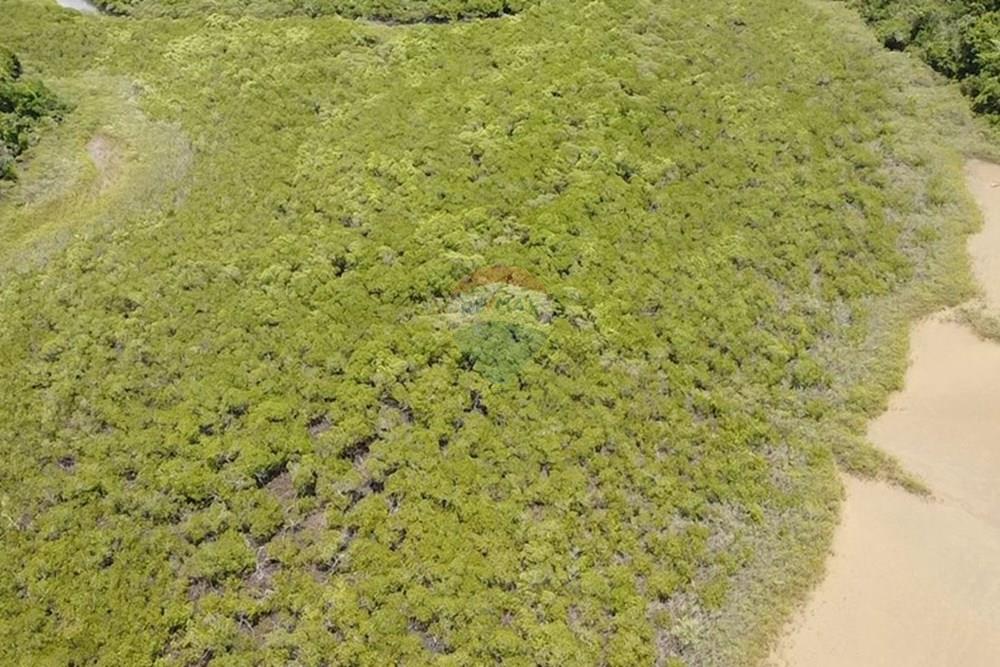 Terreno - Venda - Vera Cruz , Bahia - dji_fly_20250215_105613_0_1739627773432_photo_low_quality.jpg - 580401002-406