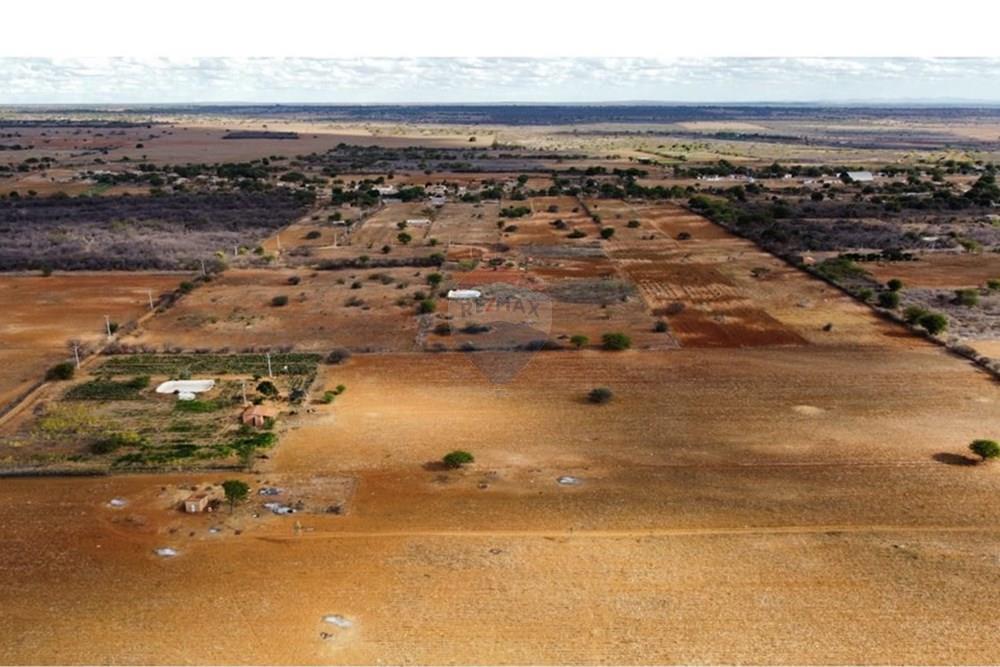 Terreno - Venda - Irecê , Bahia - be977a33-6d60-4e88-8235-7e856b7d9858.jpeg - 580841008-85