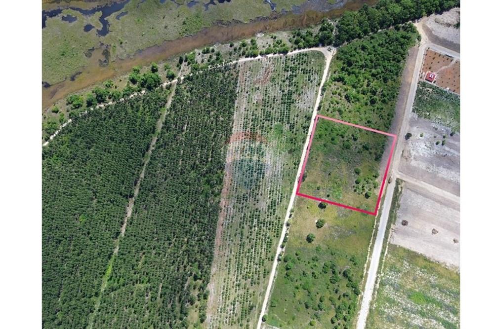 Chácara / Sítio / Fazenda - Venda - Prado , Bahia - Imagem do WhatsApp de 2025-02-10 à(s) 16.32.53_cdd8b995.jpg - 580751013-44